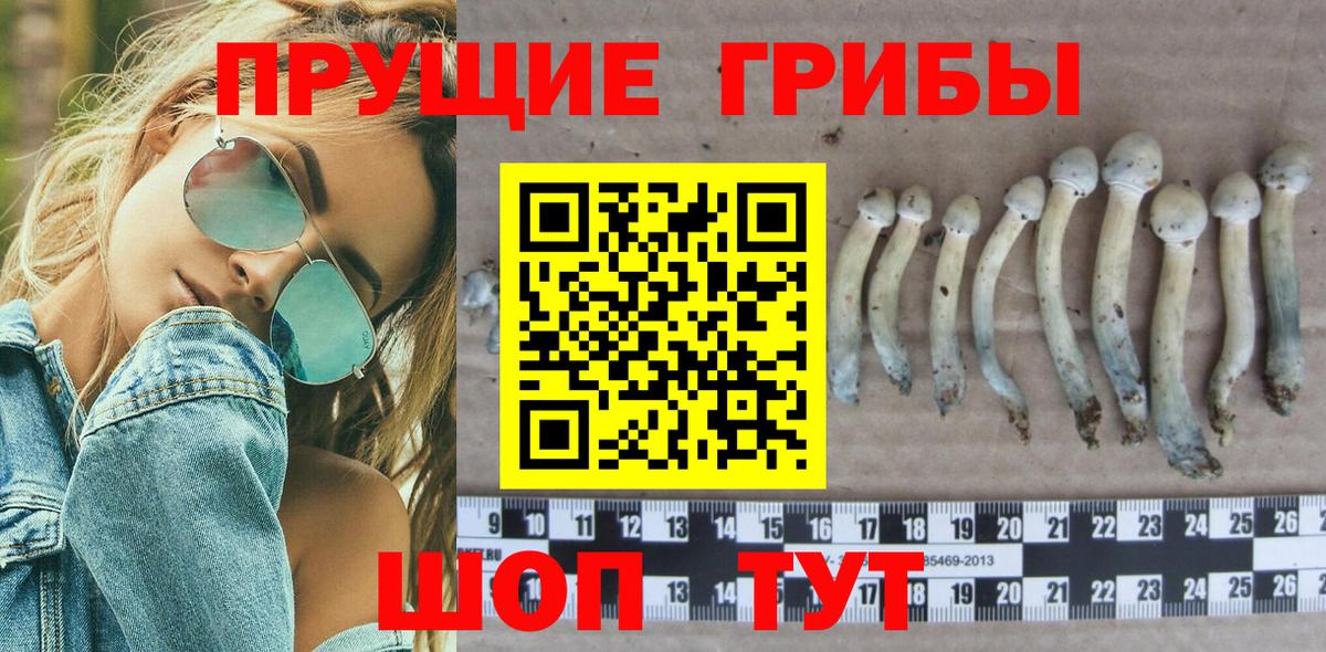 Бор  купить закладку  Галлюциногенные грибы Magic Shrooms  Вход с VPN  Галлюциногенные грибы MAGIC MUSHROOMS 